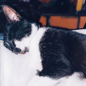 Meet your Posher, Richard